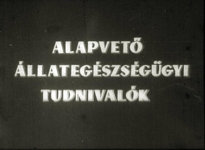 Alapvető állategészségügyi tudnivalók