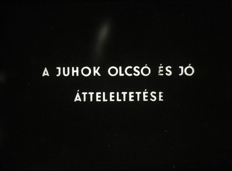 A juhok olcsó és jó átteleltetése