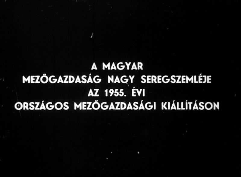 A magyar mezőgazdaság nagy seregszemléje az 1955. évi Országos Mezőgazdasági Kiállításon