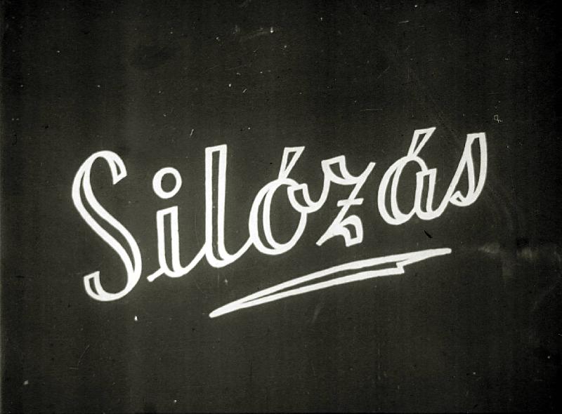 Silózás