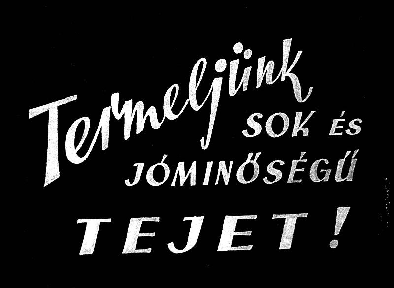 Termeljünk sok és jobb minőségű tejet