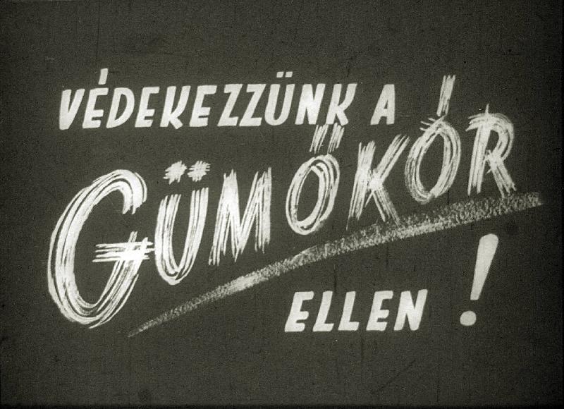 Védekezzünk a gümőkór ellen !