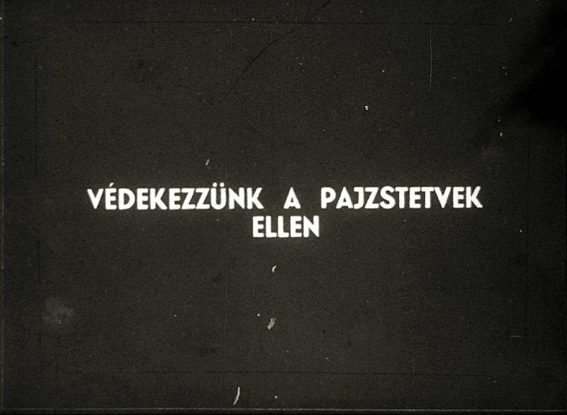 Védekezzünk a pajzstetvek ellen