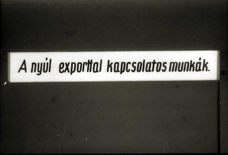 A nyúl exporttal kapcsolatos munkák