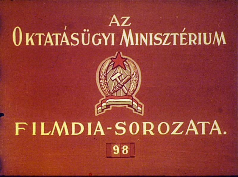 Ismerjük meg az ehető és mérgező gombákat