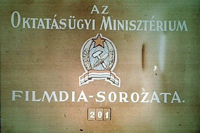 Vadon élő állatok : Óvodai sorozat 4.