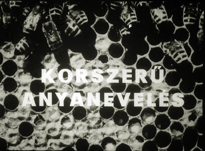 Korszerű anyanevelés