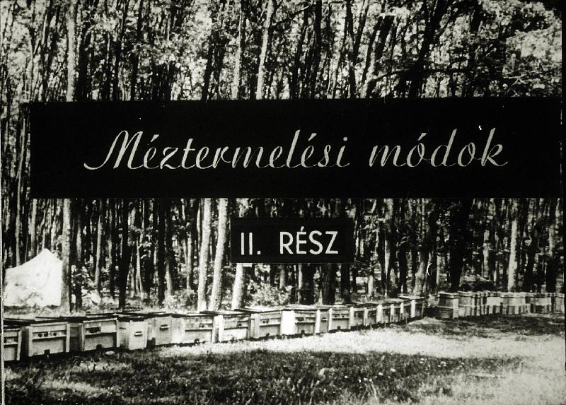 Méztermelési módok II.