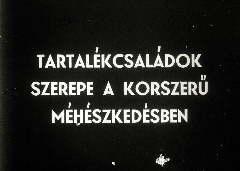 Tartalék családok szerepe a korszerű méhészkedésben