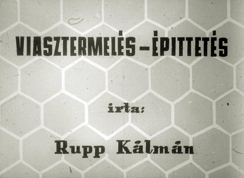 Viasztermelés - építtetés