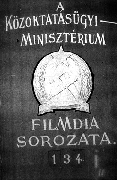 A belsőelválasztású mirigyek rendszere II.