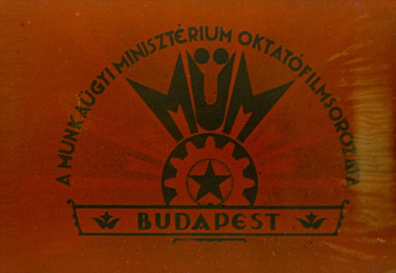 Hajviseletek a művészettörténet tükrében