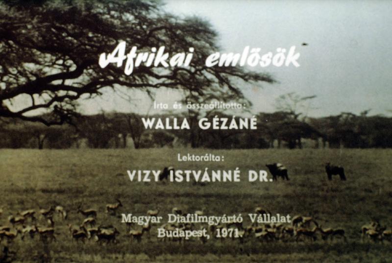 Afrikai emlősök
