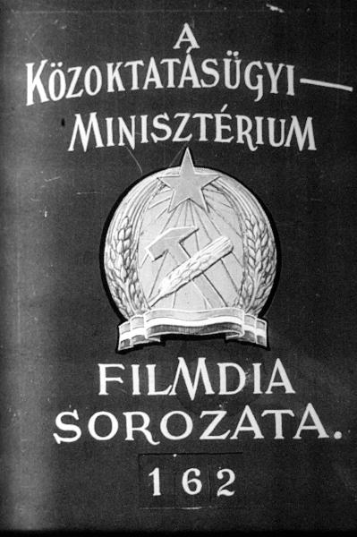 Alkalmazkodás a környezethez
