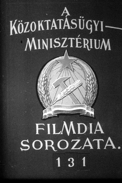 Érzékszervek I.