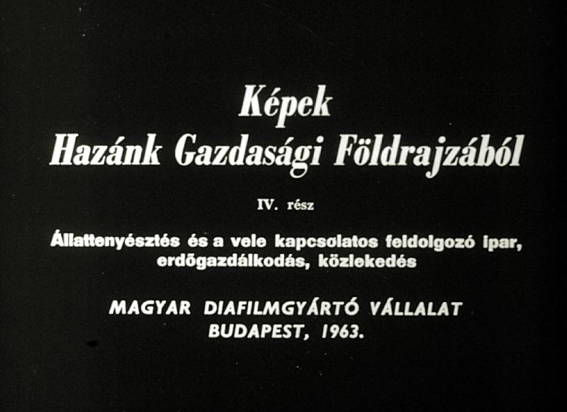 Képek Hazánk Gazdasági Földrajzából IV. rész : Állattenyésztés és a vele kapcsolatos feldolgozó ipar, erdőgazdálkodás , közlekedés