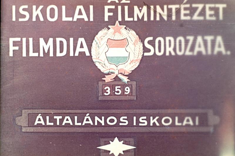 Műalkotások VII. oszt.
