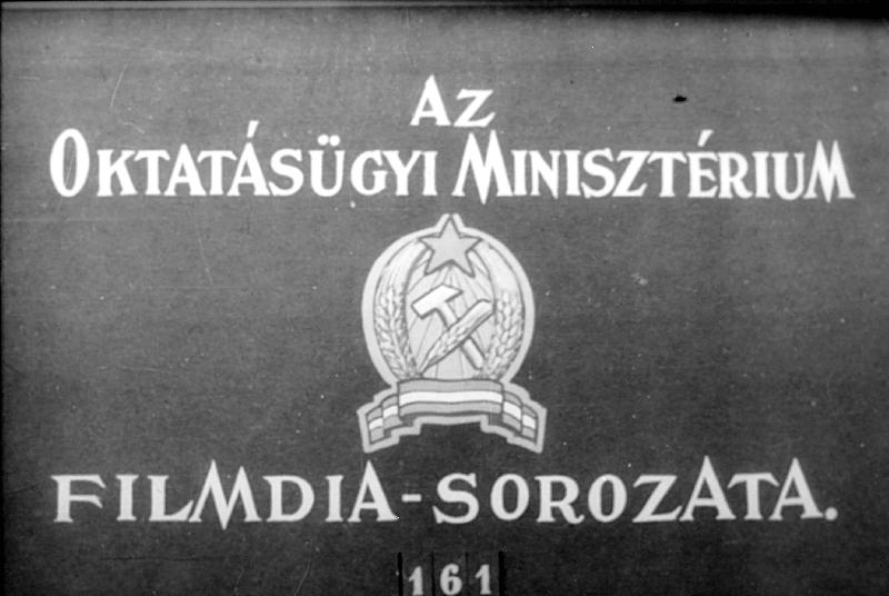 A XVII. sz. angol polgári forradalom