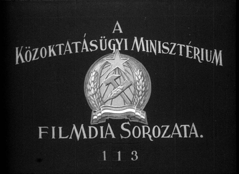 Barkás virágzatuak