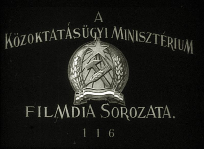 Egyéb egyszikü családok