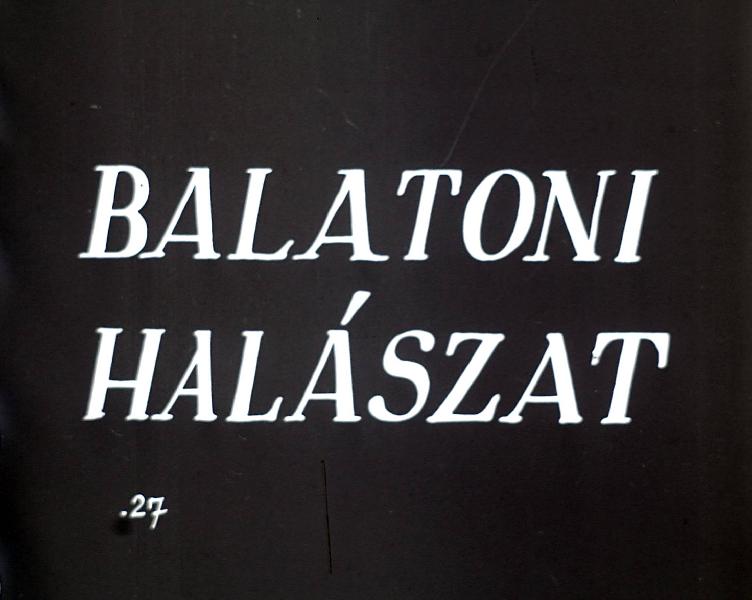 Balatoni halászat : Második Rész A jeges halászat