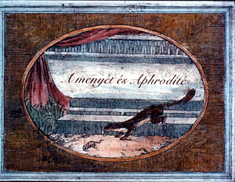 A menyét és Aphrodité