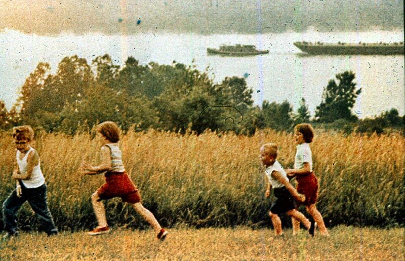 A mező állatai : Óvódák számára