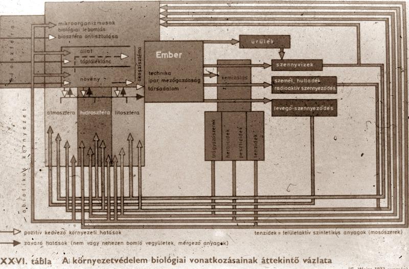 Környezetvédelmi előadássorozatok I. : 10. Intézményes környezetvédelem és világszintű összefogás