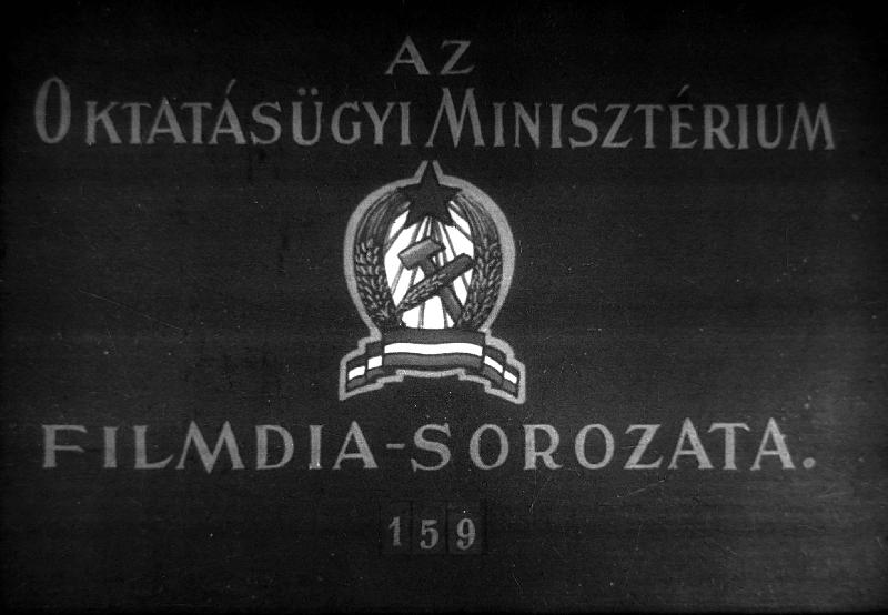 Kína nemzeti felszabadulása I.