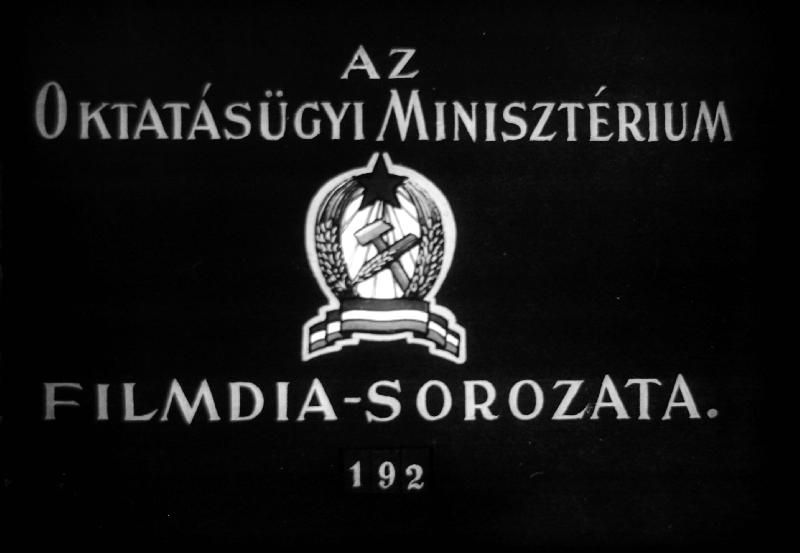 Kína nemzeti felszabadulása II.
