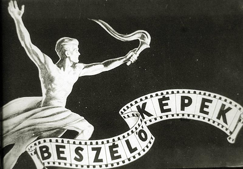 A növény és állatvilág fejlődése