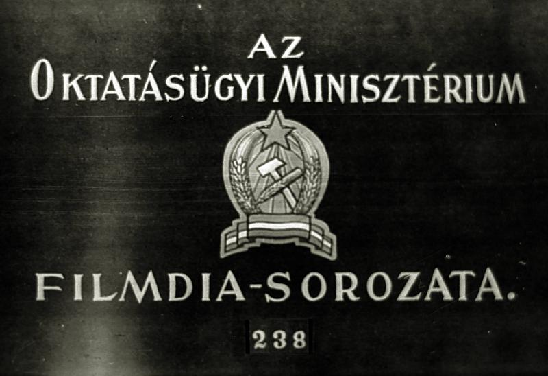 Olaszország II.