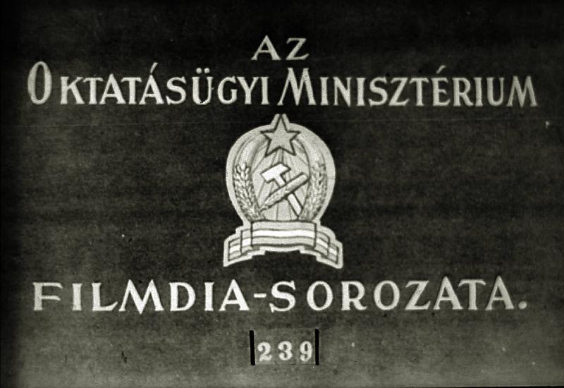 Olaszország III.