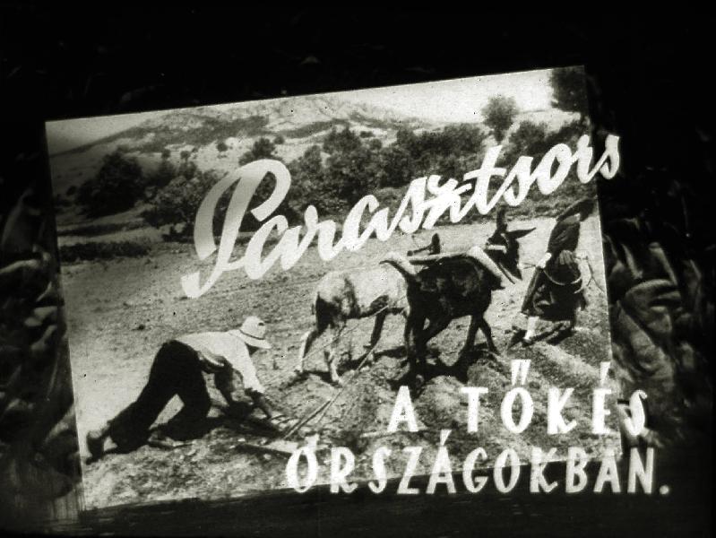 Parasztsors a tőkés országokban