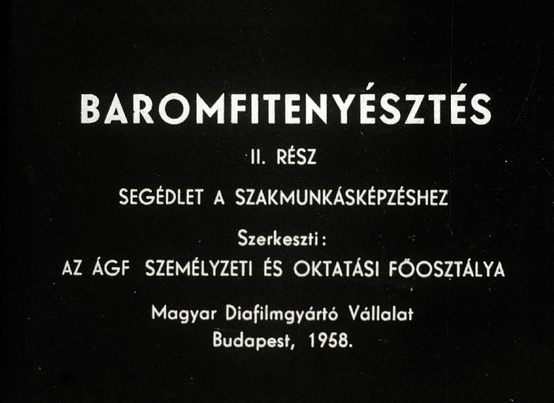 Baromfitenyésztés II. : Segédlet a szakmunkásképzéshez
