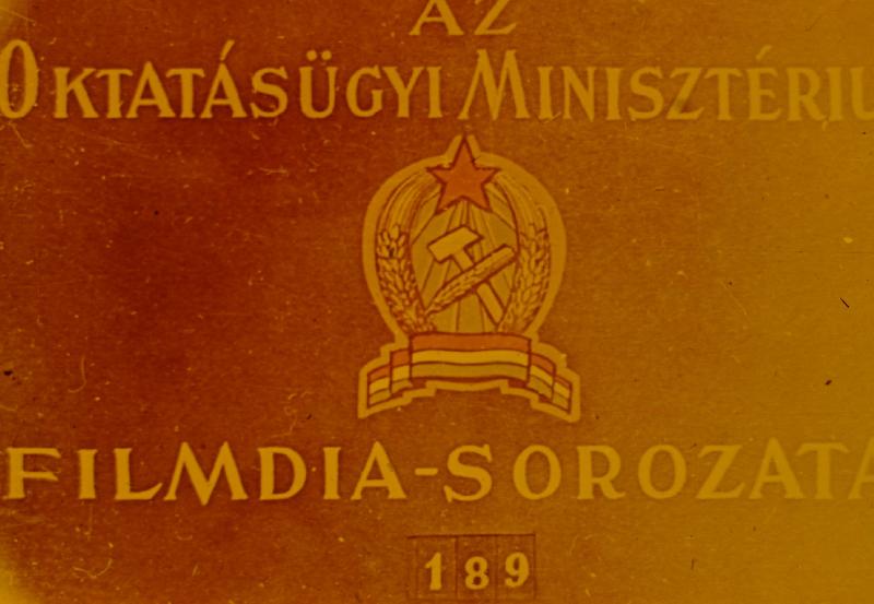 Ember szervezete 22.