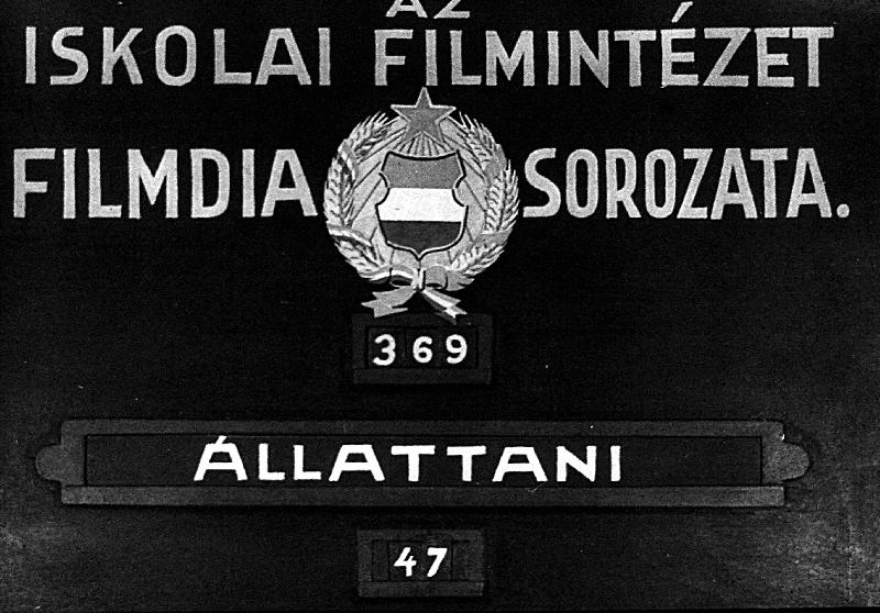 Háziméh II.