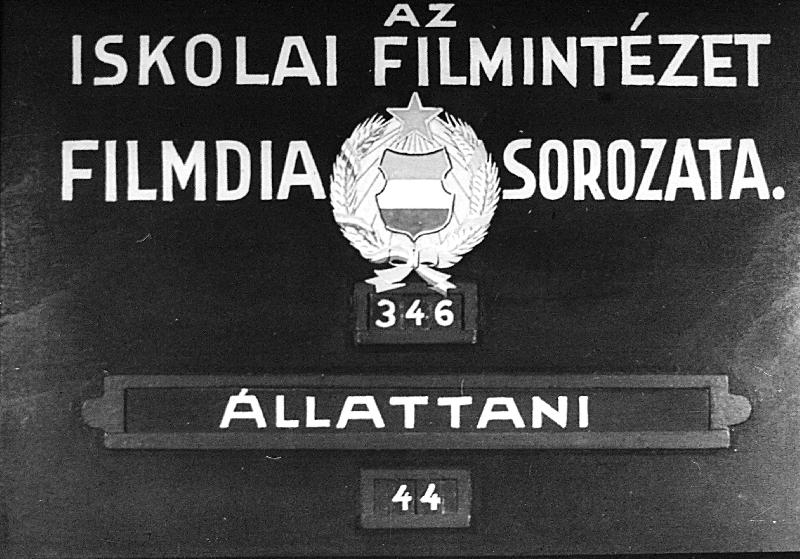 Lepkék
