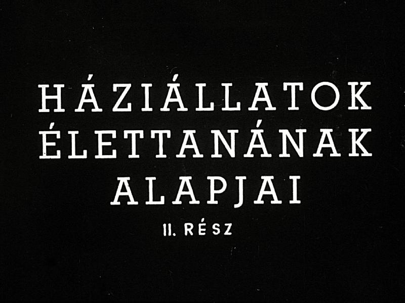 Háziállatok élettanának alapjai II. : Az állati test életfolyamatai