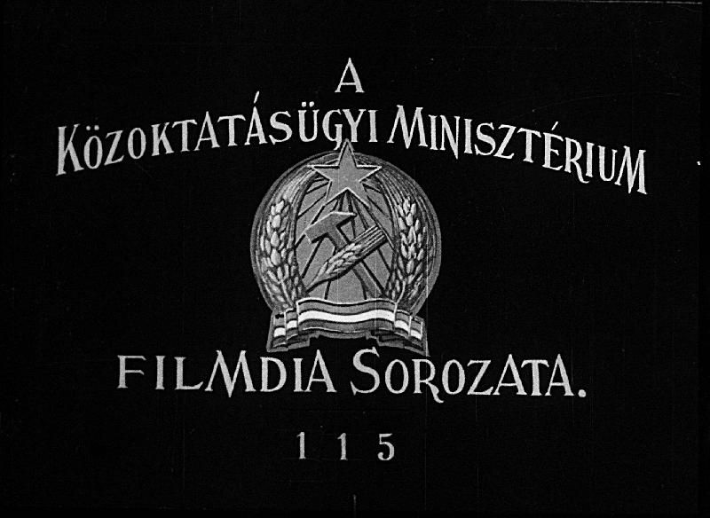 Pázsitfű-félék