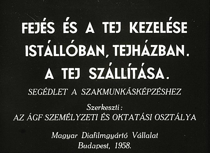 Fejés és a tej kezelése istállóban, tejházban A tej szállítása