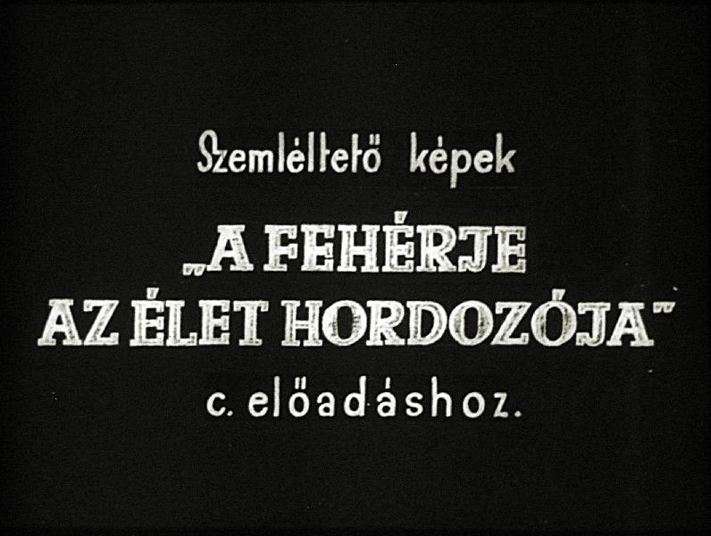 A fehérje az élet hordozója