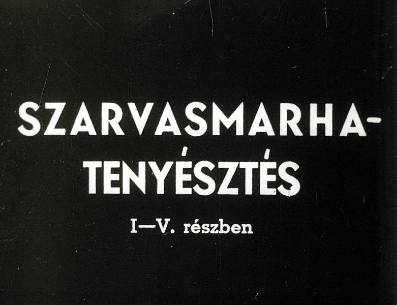Szarvasmarha - tenyésztés III. Külemi bírálat
