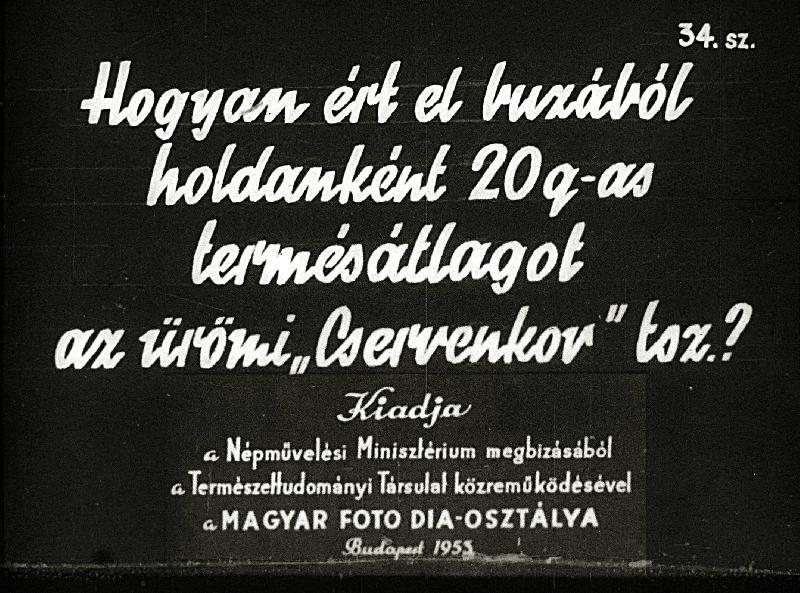 Hogyan ért el búzából holdanként 20q-as termésátlagot az ürömi 