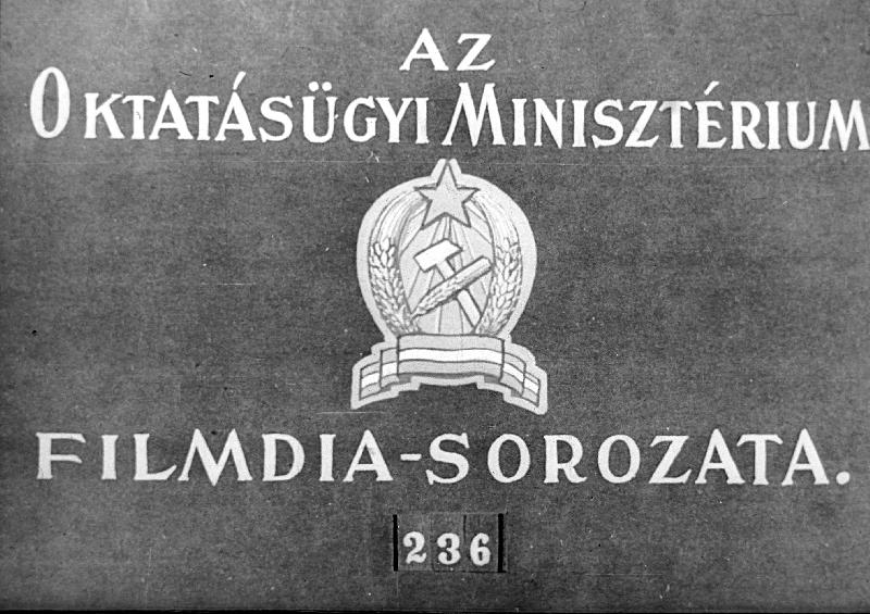 Franciaország II.