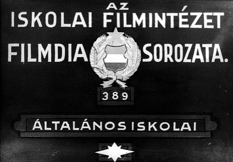 A kapitalizmus kezdetei