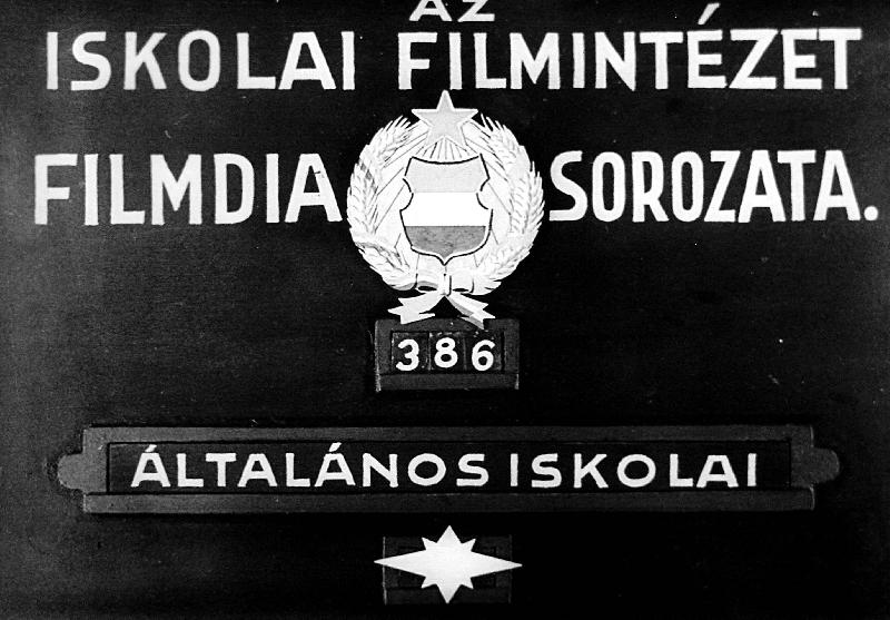 Művelődés a Hunyadiak és Jagellók korában