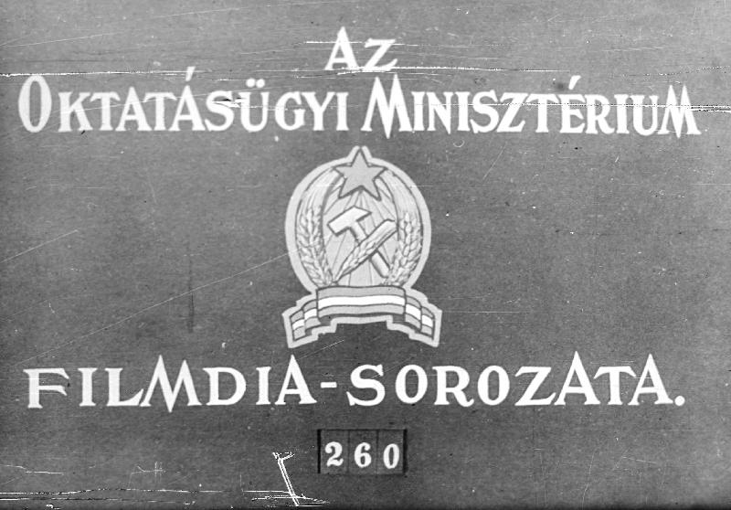 Cukorgyártás