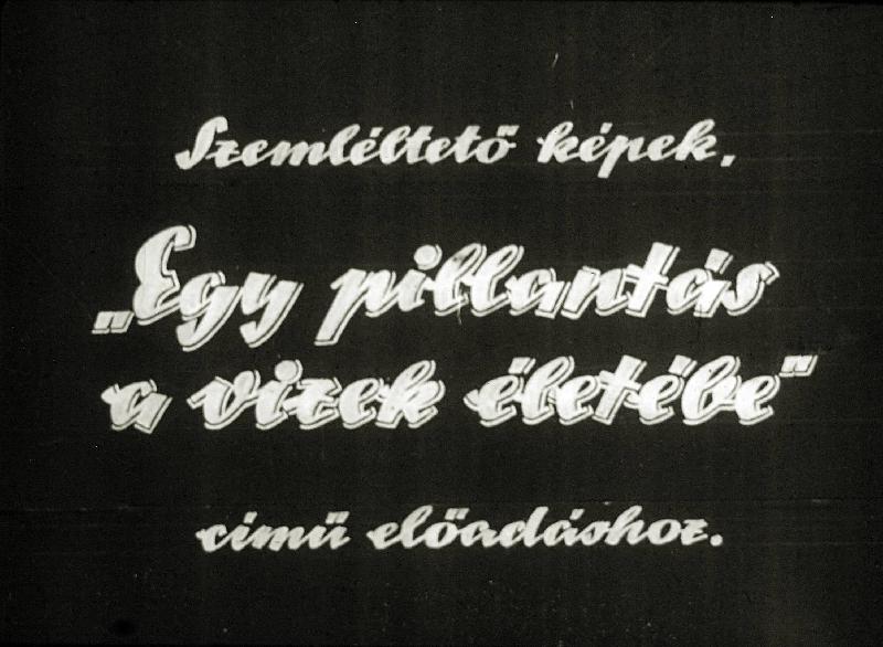 Egy pillantás a vizek életébe