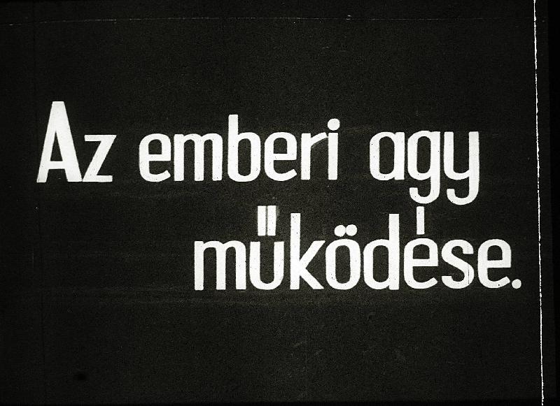 Az emberi agy működése